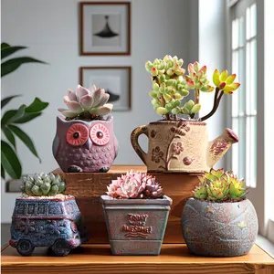 5-piece set of succulent ceramic flowerpot creative succulent plant combination set breathable retro indoor small simple coarse ceramic thumb potted plant processing new wholesale creative flowerpot