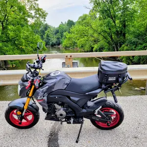 ROCKBROS Waterproof Hard Shell Motorcycle Dirt Bike Rear Seat Tail Bag - 12.5L Large Capacity Storage Bag with Adjustable Straps, Reflective Trim for Visibility, Backpack Conversion for Daily Carry, 12.4’’L X 9.45’’W X 8.07’’H