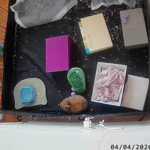 review image 2