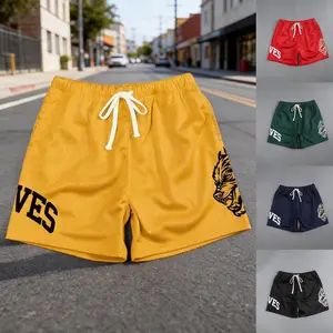 Men’s Summer Beach Shorts – Mesh Quick-Dry, Multi-Color Sports & Basketball Shorts