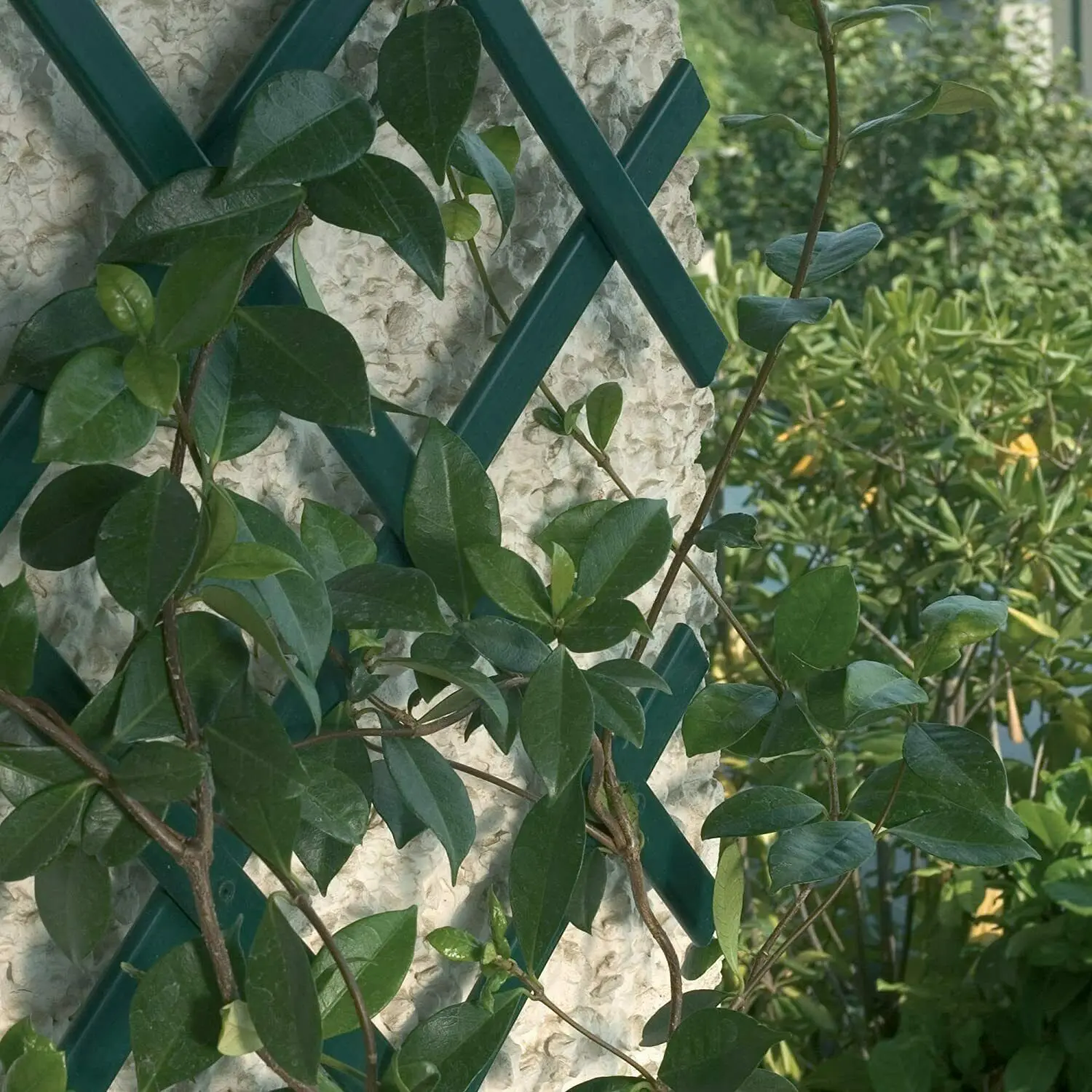 Expandable Green Plastic Outdoor Gardening Trellis - Lattice Grid, Easy to Install with Simple Tools, Flexible, Waterproof, Anti-Corrosion, UV-Resistant, Custom Fit for Climbing Plants, Backyard Wall Decoration Privacy Screen