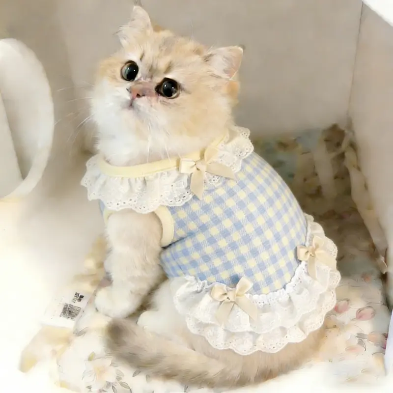 Spring and Summer Thin Cute Cat Clothes, Princess Lace Trimmed Vest Dress, Anti-Shedding Ragdoll Cat, Kitten, and Small Dog Clothing