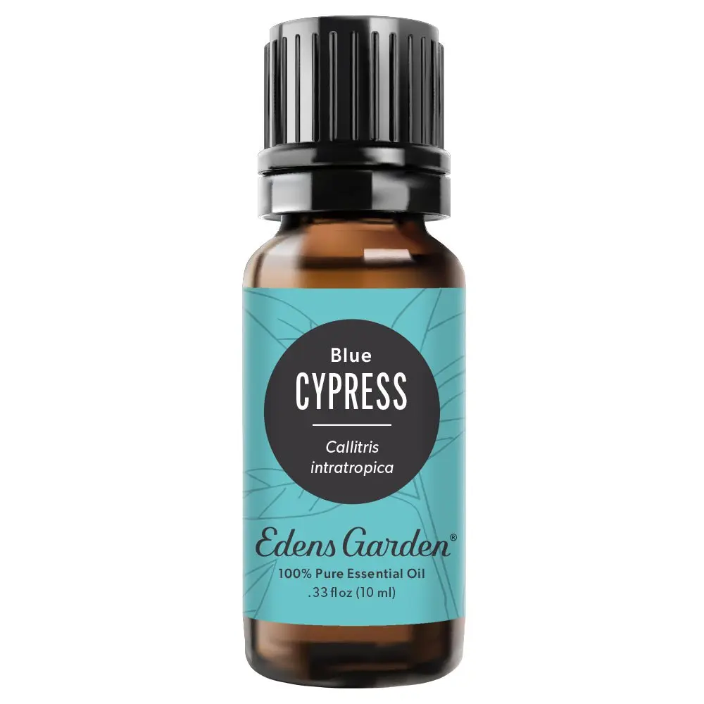 Cypress- Blue Essential Oil Cypress- Blue Essential Oil