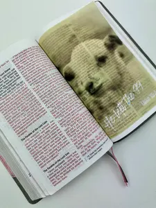 Vellum Bible Tips Inserts with Bible Verses