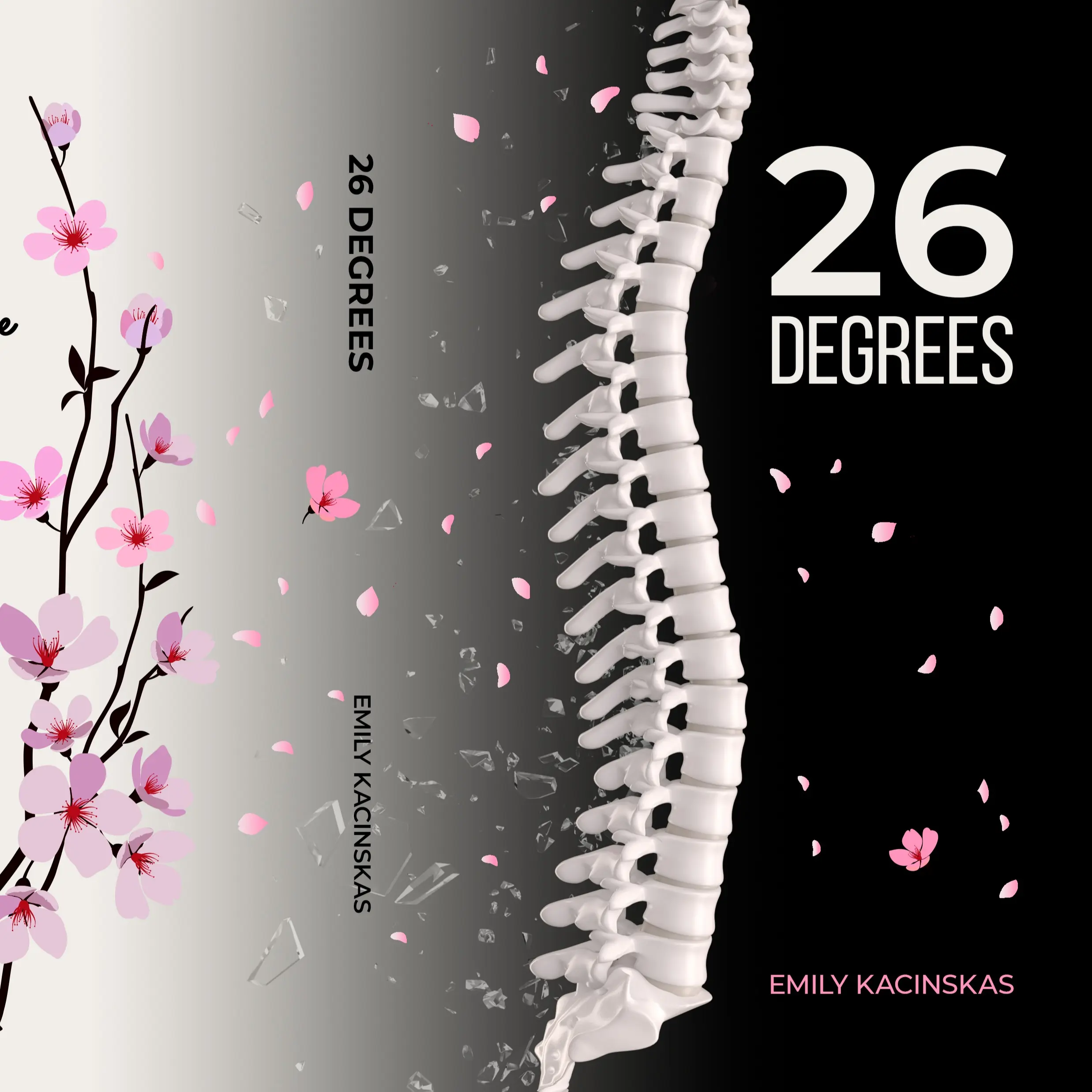 26 Degrees Book