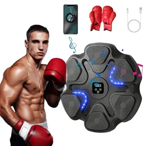 Bluetooth Music Boxing Machine with Gloves, Wall-Mounted Home Workout Target, Typec Charging, Punching Target boxing music machine with gloves Adults