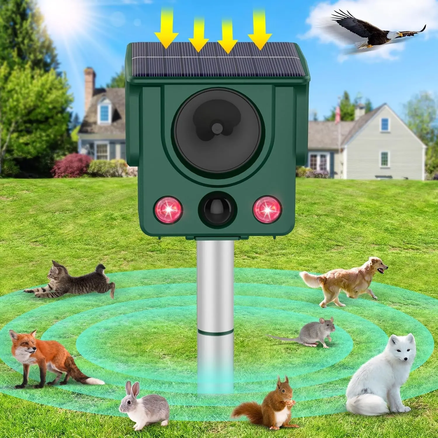 Solar Ultrasonic Animal Repellent, 3230 Sq Ft Coverage, Motion Sensor, LED Flash, Waterproof, Humane Pest Control, Outdoor Pest Control for Cats, Dogs, Squirrels, Foxes, Pigs, Solar Animal Repeller