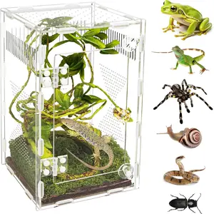 Acrylic Jumping Spider Habitat, Reptile Terrarium Easy Assembly, Bug Enclosure, Praying Mantis Habitat, Frog Enclosure, 9.8 * 5.9 * 5.9in