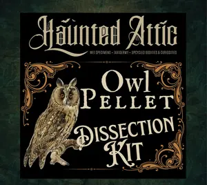 Owl Pellet Dissection Kit | Vulture Culture DIY Adventure | STEM Science Experiment | Date Night Idea | Spooky Squad Activity