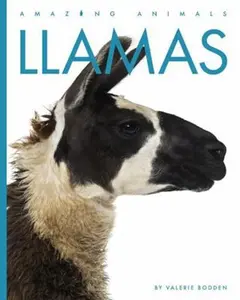 USED-Llamas by Bodden, Valerie (Library Binding)