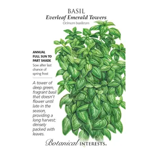 Everleaf Emerald Towers Basil Seeds - 20 Seeds