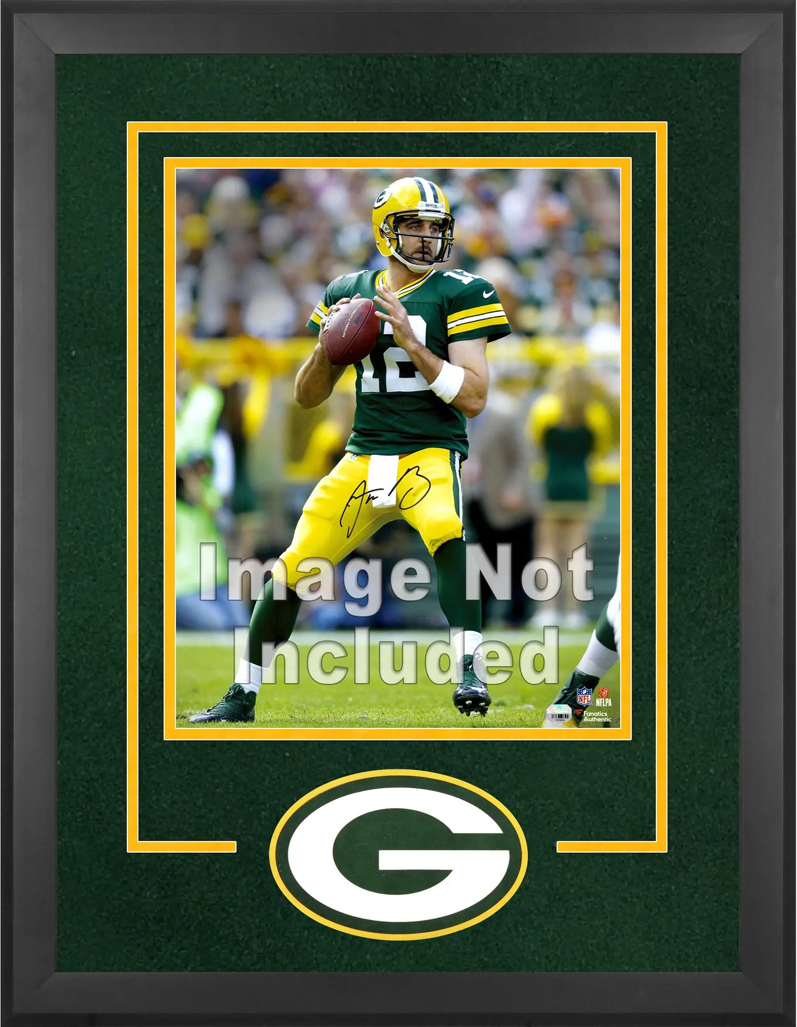Green Bay Packers Deluxe 16" x 20" Vertical Photograph Frame with Team Logo