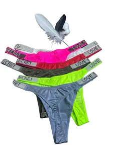 Sparkling Rhinestone Thong Underwear, Shimmering Sequined Sexy Women's Panties, Low Waist Bikini Lingerie in Elegant Satin Fabric for Daily Wear