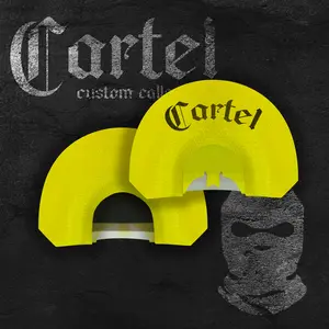 Gold Teeth Gold Teeth