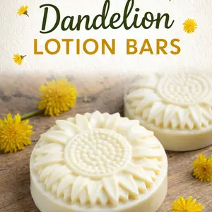 Dandelion Lotion Bars