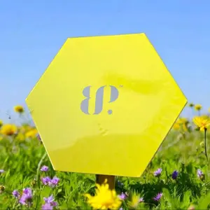 BP Original Earrings Reveal - 2025 Original Earrings Collection for $24.95