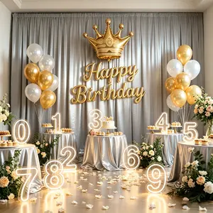 0-9 Digit Warm Light Neon Sign USB Powered with Dimmer for Anniversary Celebrations Bars Homes Clubs Weddings Birthdays Commemorative Occasions