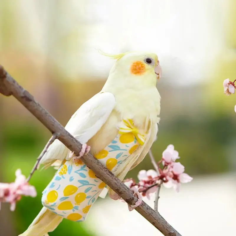 Bird Diaper Pants, Bird Flight Suit, Parrot Clothes, Costumes, Anti-Poop Outing Bag, Clothing, Washable, Hanging Leash Available, Tiger Skin, Peony, Phoenix