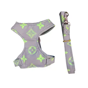 Louie Harness with Leash in Gray & Green - Luxury Dog Accessory