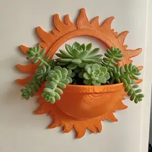 Sun-Shaped Wall-Mounted Planter, Perfect for Succulents & Cacti, Outdoor Decorative Flower Pot, Outdoor Planters, Wall Plant Holder, Paper Box Packaging, Safe Long-Distance Shipping