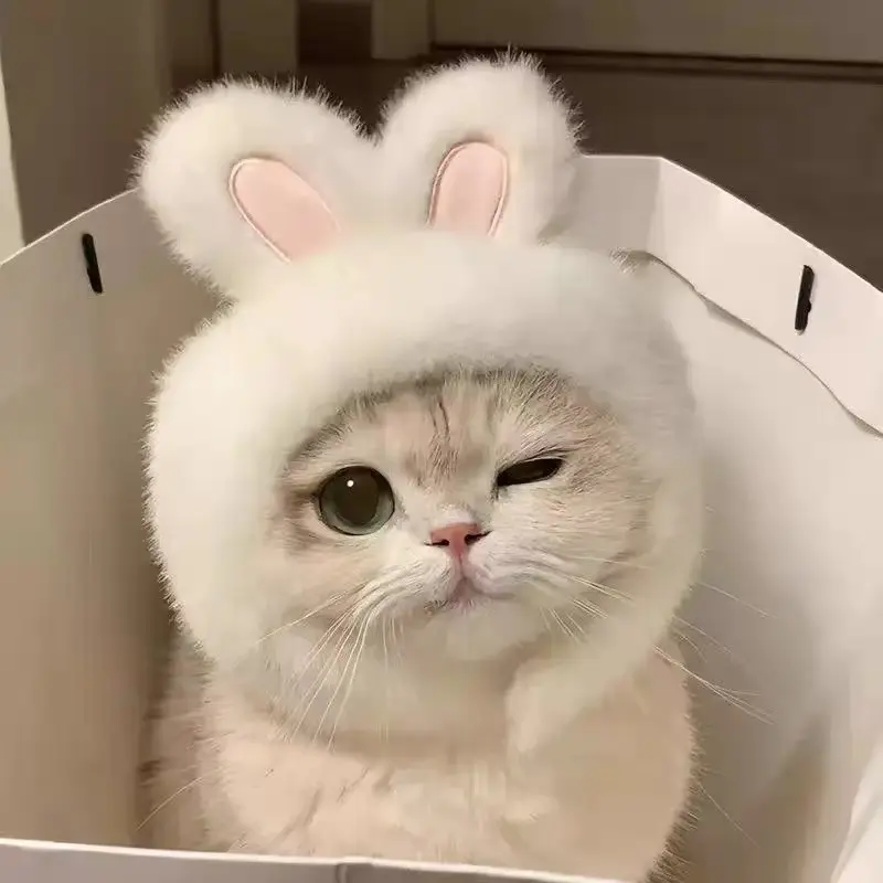 Cute Pet Hat Decoration Headwear, Plush Costume Small Dog Puppy Cat Kitten Kitty Pomeranian, Funny Photo Prop, Fashionable Versatile Fur Headpiece, Clothing for Pet