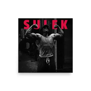 Sulek Body Building Poster