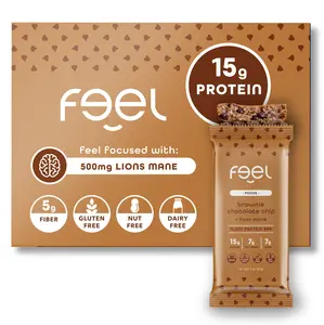 Feel Bars – Vegan Protein Bars | Brownie Chocolate Chip – 10 Pack | 15g Plant Protein | Lions Mane | Keto | Organic | Gluten Free, No Nuts, No Soy, No Dairy, No Grains