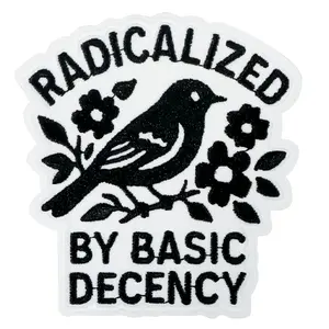 Radicalized by Basic Decency Embroidered Patch, Unique Embroidery, Lettered Embroidery, Back Adhesive Iron-On, Suitable for Clothes Jackets Hats Accessories, 1 Piece