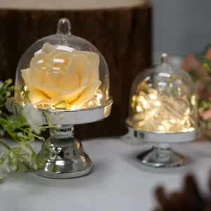 12 Piece Mini Candy Container Set, Transparent/silver Color, Decorative Gift Box with Dome Lid, Perfect for Parties, Valentine's Day, Birthdays, Weddings, Elegant Gift Box