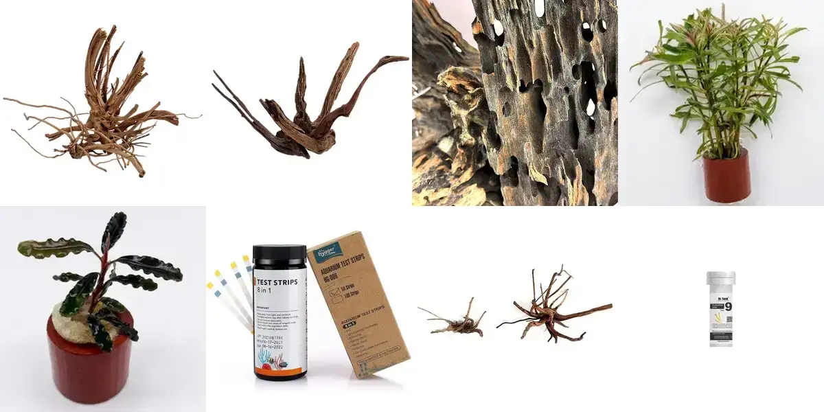 background preload poster image 