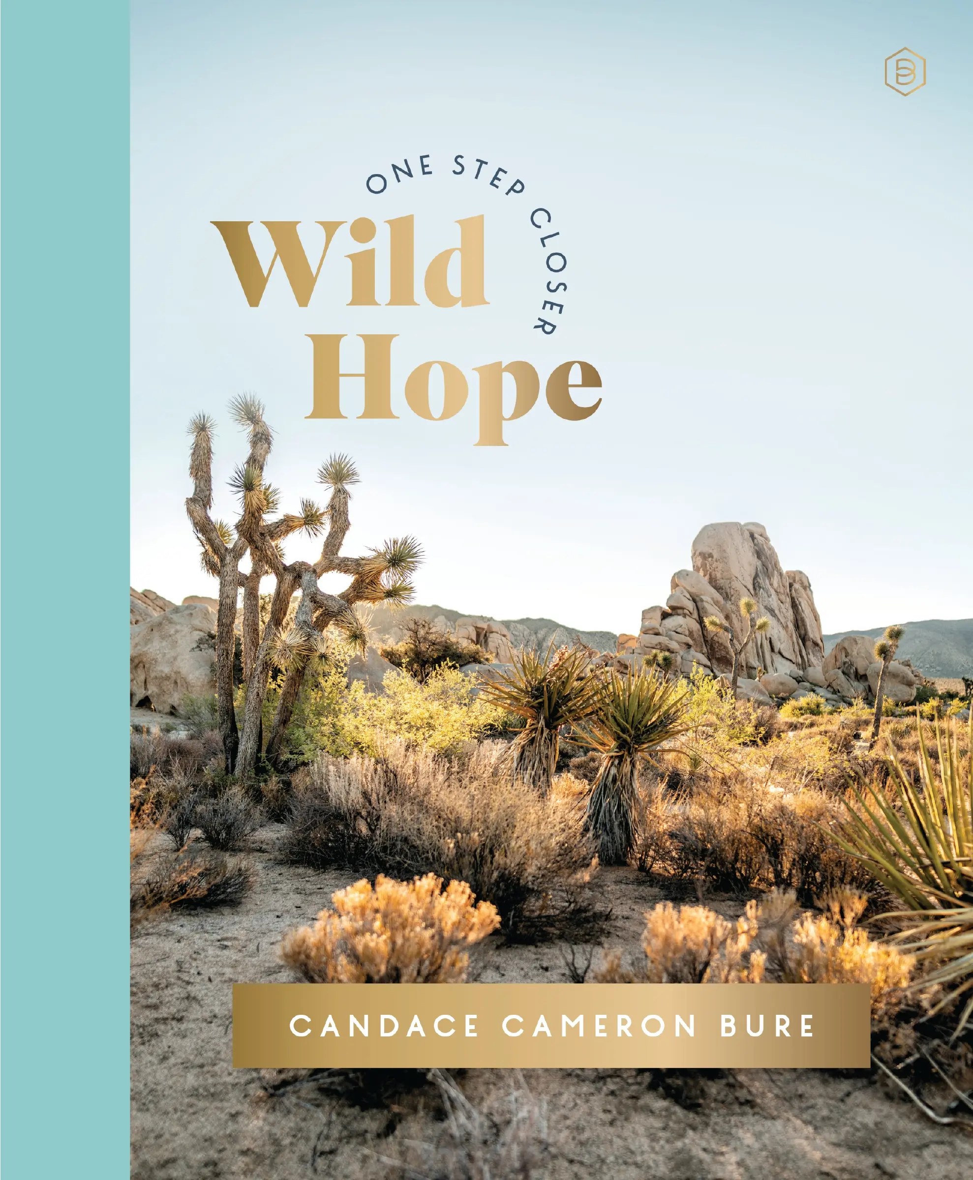 Wild Hope: A 30-Day Devotional to Overcome Life’s Challenges – Interactive Devotions with Bible Verses, Guided Questions, and Creative Exercises (One Step Closer) by Candace Cameron Bure [Hardback Book]