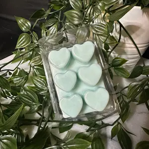 Clamshell Wax Melt wax melt