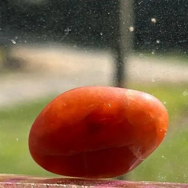 CampGrounded Carnelian - Authentic and Genuine