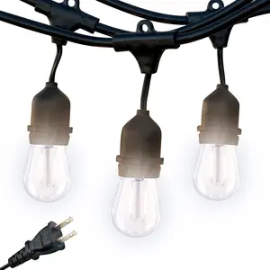 Brightech Ambience Pro - Waterproof LED Outdoor String Lights - Hanging, Dimmable 2W Vintage Edison Bulbs