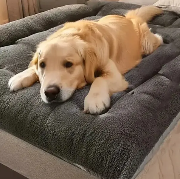 Extra-large plush dog bed mat, thick and super soft polyester pet mat