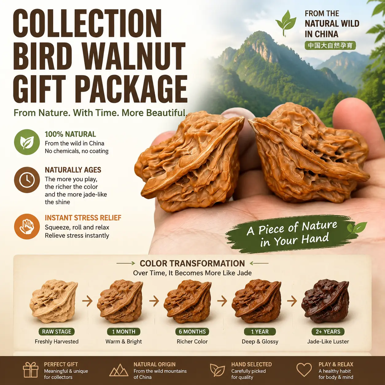 Natural Stress Relief Walnut Toy – Traditional Chinese Handcrafted Bird Walnuts Natural Wood Ornaments - Beginner-Friendly Collectible Hand Fidget Toy for Stress Relief and Patina Development, Collectibles, Squeeze Stress Relief, Pocket Stress Relief