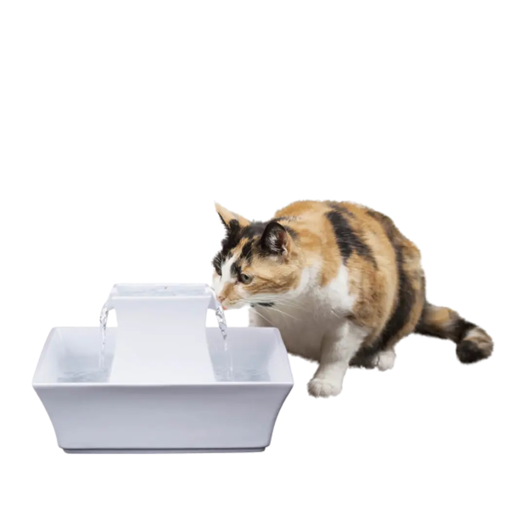 PetSafe Pagoda Pet Fountain White Automatic Water Bowl 70 oz Capacity for Cats & Small Dogs Open Bowl Design with Filtered Water