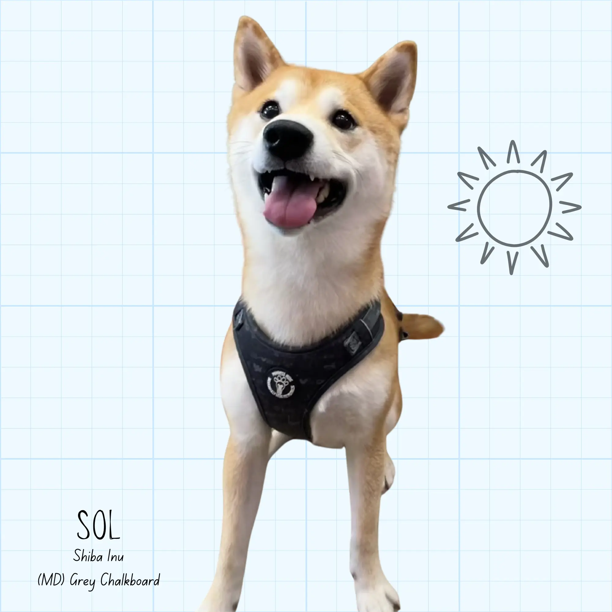 The Harnette Coat-Protective Harness (MD)