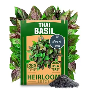 Thai Basil Seeds - 350pcs Sweet Large Leaf Heirloom Non-GMO Pesticide-Free USA Sourced for Indoor Outdoor Planting All Seasons