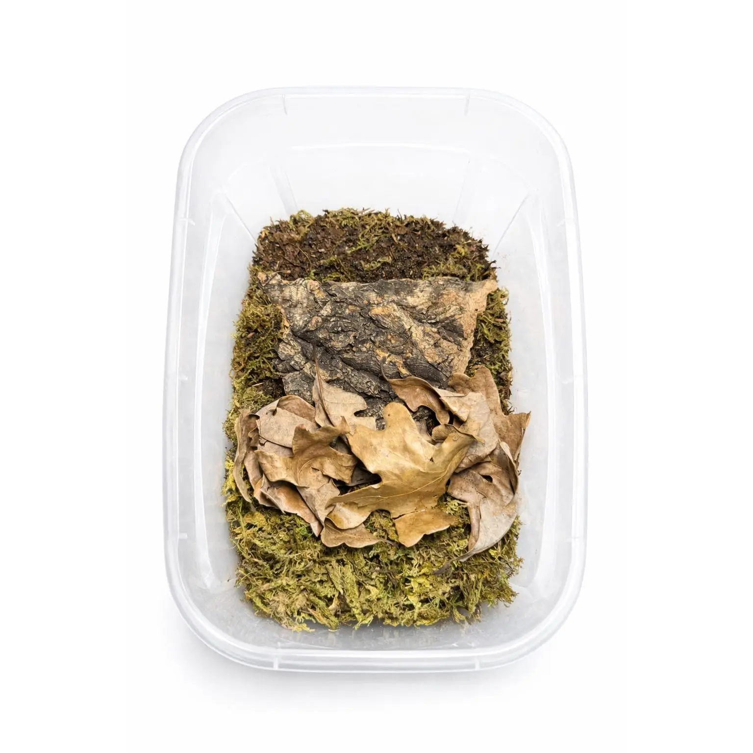 Isopod Starter Kit | Bioactive Habitat Bundle with Soil, Leaf Litter, Moss & Cork Bark