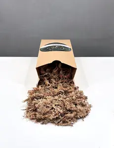 Sphagnum Moss