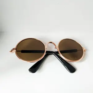 Pet Cat Glasses Transparent Cat Sunglasses with Big Gold Chain Option for Gift Giving M & L Sizes