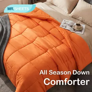 NTBAY All Season Down Comforter – Lightweight Microfiber Duvet Insert with Corner Tabs, Soft Quilted & Easy Care