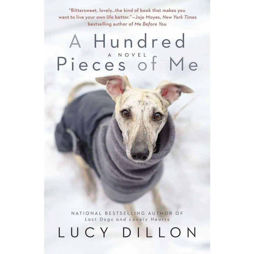 USED-A Hundred Pieces of Me by Dillon, Lucy (Paperback)