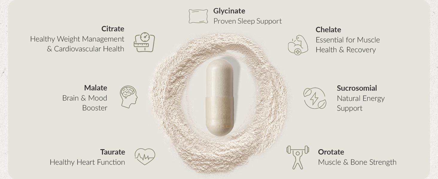 BIOptimizers - Magnesium 4.0 Supplement - Has 7 Forms of Magnesium Like Bisglycinate, Malate, Citrate & More - Natural Sleep Aid - Brain Supplement Capsule