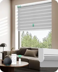 Allesin Motorized Zebra Blinds with Remote, Electric Dual-Layer Shades with Dry Battery-Powered, Smart Window Blind with Privacy Light Control