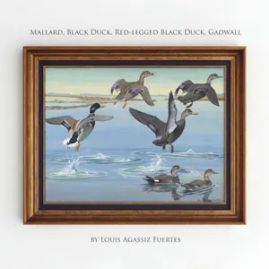 Flying Ducks Wall Art, Mallard Ducks Wall Print, Lake House Decor, Vintage Duck Poster, Mallard Duck Nursery, Waterfowl Hunting Prin