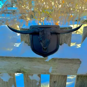 Real Style Longhorn Skull Emblem 09-19 4th Gen truck Tailgate.