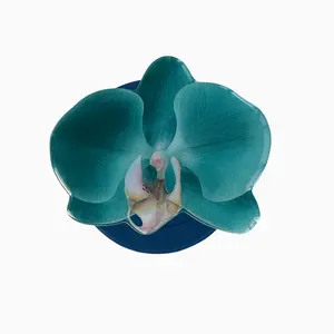Teal Orchid Teal Orchid