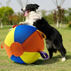 Multi-Color Dog Ball Toy with Air Pump, Interactive Chew Outdoor Play & Training Toy for All Breeds, Durable Cartoon Design, Pet Exercise GiftGift